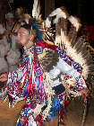 Native Americea flag