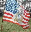 Native Americea flag